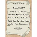 Bíblia NVI Seja Luz Verde Capa Dura Letras Médias Com Índice Palavras de Jesus destacadas Evangélica